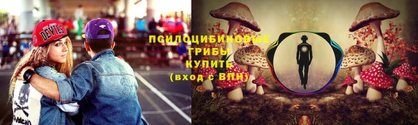 apvp Балахна